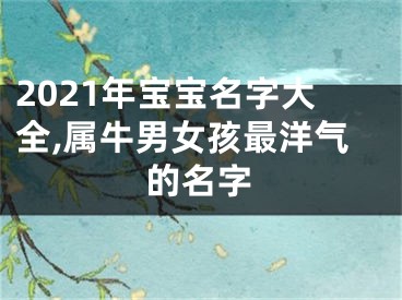 2021年宝宝名字大全,属牛男女孩最洋气的名字