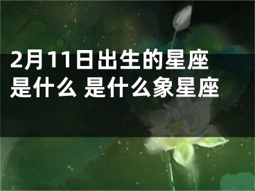 2月11日出生的星座是什么 是什么象星座 