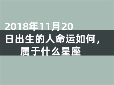 2018年11月20日出生的人命运如何，属于什么星座 