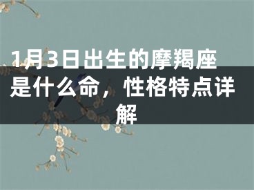 1月3日出生的摩羯座是什么命，性格特点详解