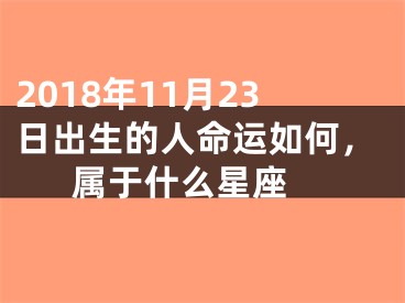 2018年11月23日出生的人命运如何，属于什么星座 