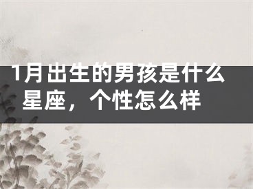 1月出生的男孩是什么星座，个性怎么样 