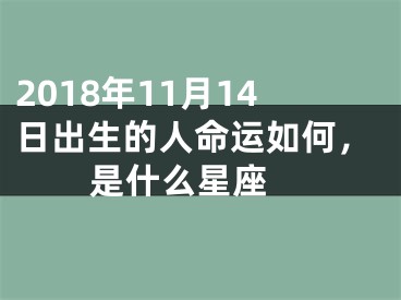 2018年11月14日出生的人命运如何，是什么星座 