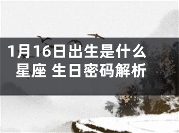 1月16日出生是什么星座 生日密码解析