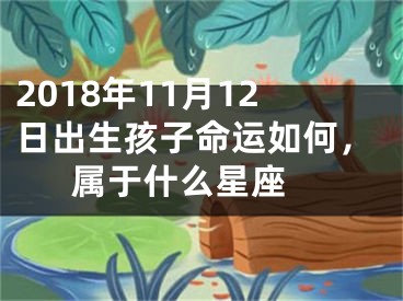 2018年11月12日出生孩子命运如何，属于什么星座 