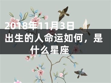 2018年11月3日出生的人命运如何，是什么星座 