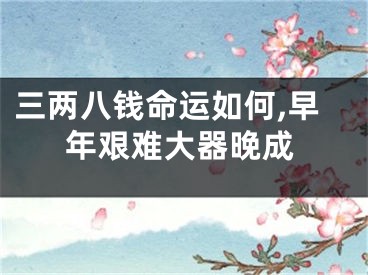 三两八钱命运如何,早年艰难大器晚成