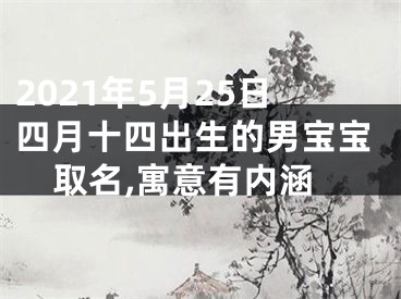 2021年5月25日四月十四出生的男宝宝取名,寓意有内涵