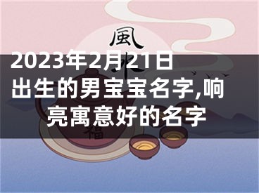 2023年2月21日出生的男宝宝名字,响亮寓意好的名字