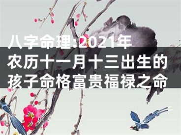 八字命理:2021年农历十一月十三出生的孩子命格富贵福禄之命