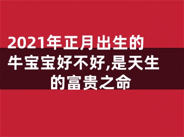 2021年正月出生的牛宝宝好不好,是天生的富贵之命