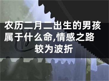 农历二月二出生的男孩属于什么命,情感之路较为波折