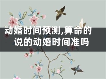 动婚时间预测,算命的说的动婚时间准吗