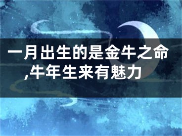 一月出生的是金牛之命,牛年生来有魅力