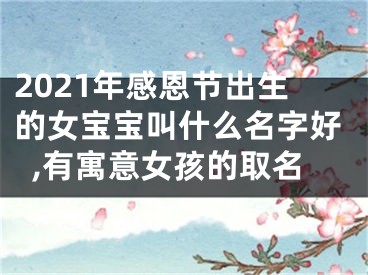 2021年感恩节出生的女宝宝叫什么名字好,有寓意女孩的取名