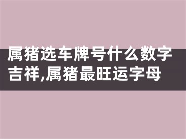 属猪选车牌号什么数字吉祥,属猪最旺运字母