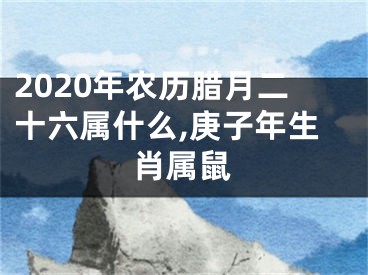 2020年农历腊月二十六属什么,庚子年生肖属鼠