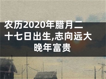 农历2020年腊月二十七日出生,志向远大晚年富贵