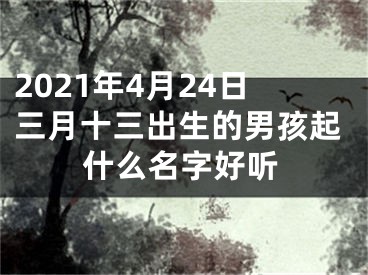 2021年4月24日三月十三出生的男孩起什么名字好听