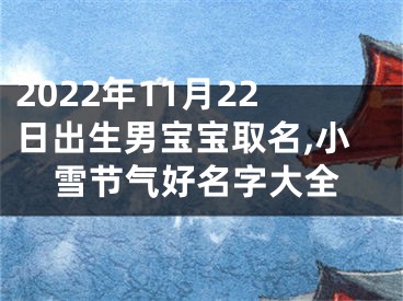 2022年11月22日出生男宝宝取名,小雪节气好名字大全