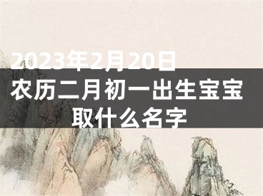 2023年2月20日农历二月初一出生宝宝取什么名字