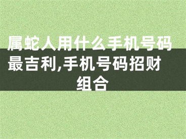 属蛇人用什么手机号码最吉利,手机号码招财组合