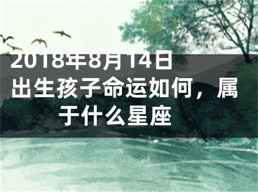 2018年8月14日出生孩子命运如何，属于什么星座 