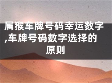 属猴车牌号码幸运数字,车牌号码数字选择的原则