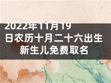 2022年11月19日农历十月二十六出生新生儿免费取名