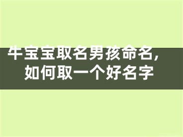 牛宝宝取名男孩命名,如何取一个好名字