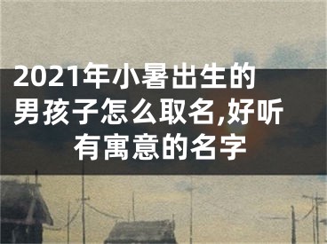 2021年小暑出生的男孩子怎么取名,好听有寓意的名字