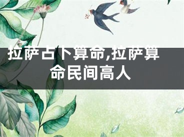 拉萨占卜算命,拉萨算命民间高人