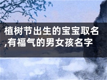 植树节出生的宝宝取名,有福气的男女孩名字