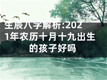 生辰八字解析:2021年农历十月十九出生的孩子好吗