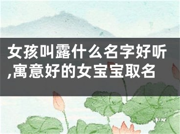 女孩叫露什么名字好听,寓意好的女宝宝取名