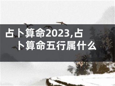 占卜算命2023,占卜算命五行属什么