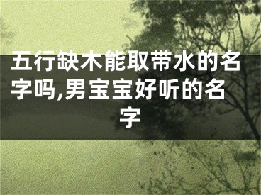 五行缺木能取带水的名字吗,男宝宝好听的名字