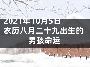 2021年10月5日农历八月二十九出生的男孩命运