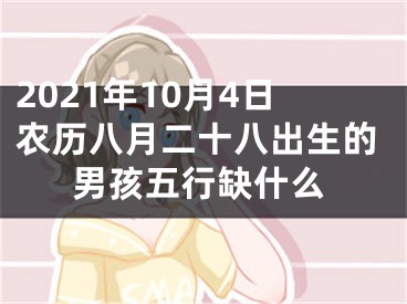 2021年10月4日农历八月二十八出生的男孩五行缺什么