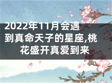 2022年11月会遇到真命天子的星座,桃花盛开真爱到来