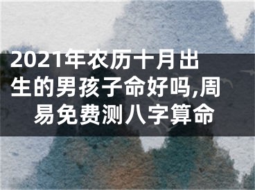 2021年农历十月出生的男孩子命好吗,周易免费测八字算命