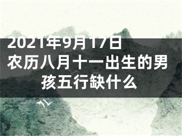 2021年9月17日农历八月十一出生的男孩五行缺什么