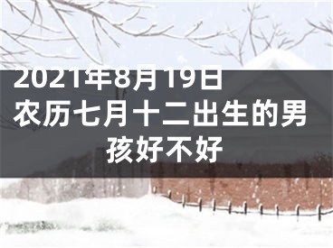 2021年8月19日农历七月十二出生的男孩好不好