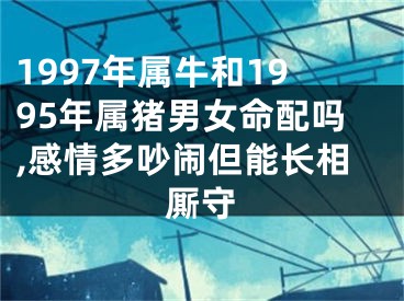 1997年属牛和1995年属猪男女命配吗,感情多吵闹但能长相厮守