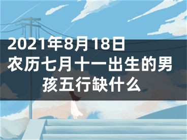 2021年8月18日农历七月十一出生的男孩五行缺什么