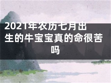 2021年农历七月出生的牛宝宝真的命很苦吗