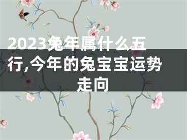 2023兔年属什么五行,今年的兔宝宝运势走向