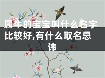 属牛的宝宝叫什么名字比较好,有什么取名忌讳