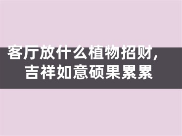 客厅放什么植物招财,吉祥如意硕果累累