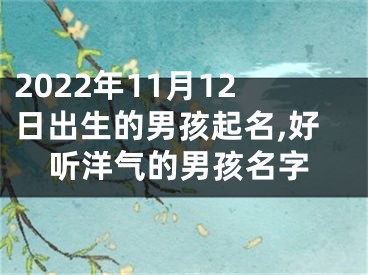 2022年11月12日出生的男孩起名,好听洋气的男孩名字